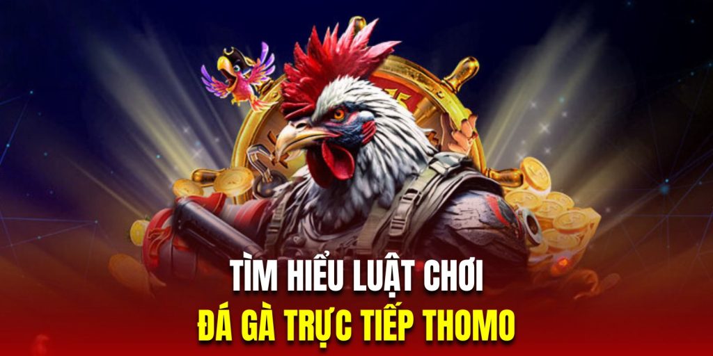 Luật chơi đá gà cựa sắt Thomo trực tiếp mới nhất